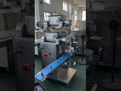 Máy tạo hình bánh quy nhồi hai màu P170