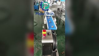 dây chuyền sản xuất quả bóng protein bột yến mạch