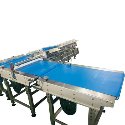 Giá tốt. Thiết bị đóng gói dây chuyền phân loại tự động máy đóng gói màng chảy thực phẩm trực tuyến